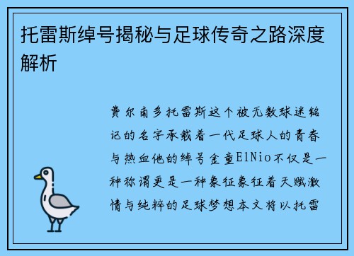 托雷斯绰号揭秘与足球传奇之路深度解析